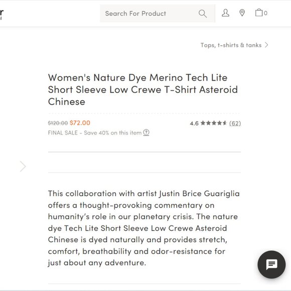 NWT RARE Icebreaker shinjitai Asteroid Merino Women's T Shirt Rose Women Small - Picture 3 of 3